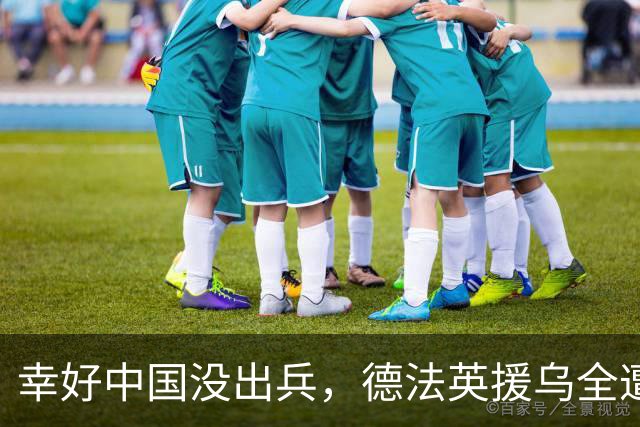 幸好中国没出兵，德法英援乌全遭反噬，看完才发现中国决定多高明