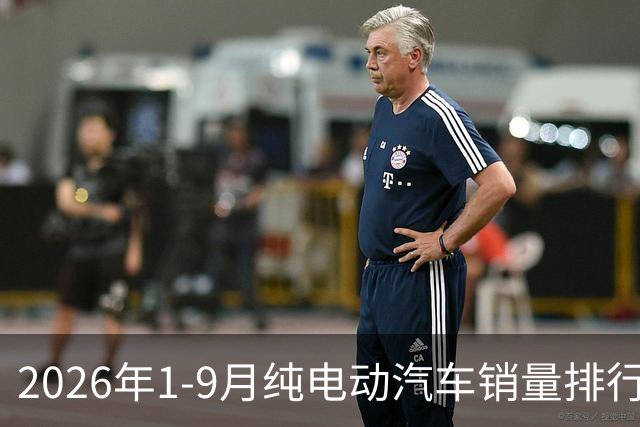 2026年1-9月纯电动汽车销量排行榜